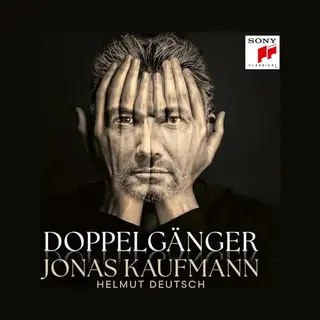 Sony Doppelgänger
