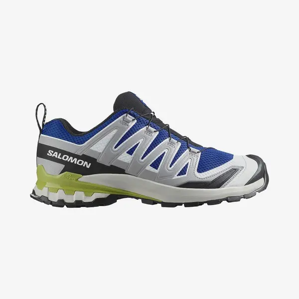 Salomon, Herren, Laufschuhe, Pro Laufschuhe (44), Blau thumbnail