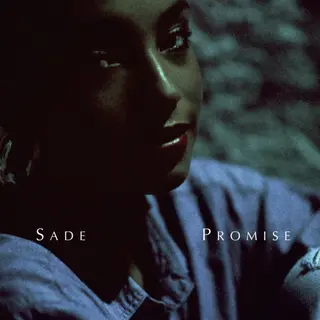 Sony Music Cmg Promise [Vinyl Lp]