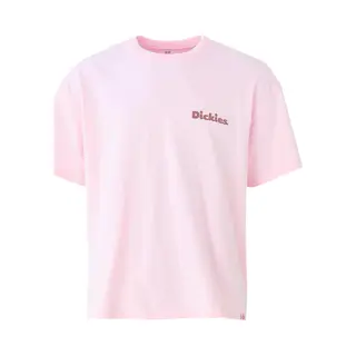 Dickies T-Shirt Slayden Gd Tee