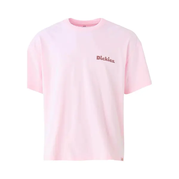 Dickies T-Shirt Slayden Gd Tee thumbnail