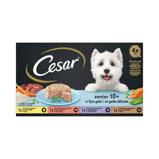 Cesar Hondenvoer - Senior 10+ - Mix In Gelei - Kuipjes - 24x150g