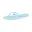 Tanager Turquoise