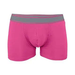 Boxer Kariban