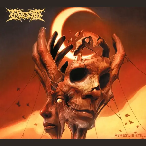 Ingested - Ashes Lie Still (Cd) thumbnail