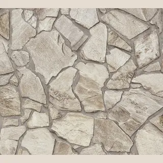 A.S. Création Vliestapete 3D-Optik Natur Stein Mauer Wand Grau Beige 3893-43 Terra