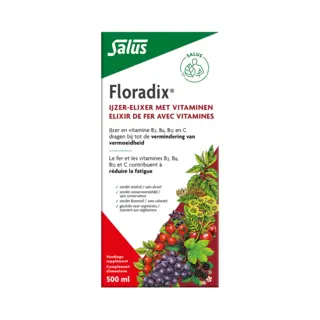 Floradix Vloeibaar Ijzer-Elixer Met Vitamines 500 Ml