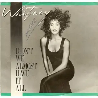 Didn't We Almost Have It All (maxi-single)