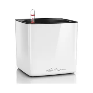 Lechuza Cube Drinnen Topfpflanzer Freistehend Polypropylen (Pp) Weiß