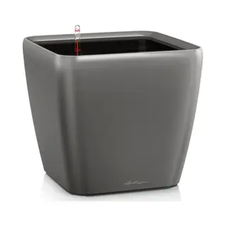 Lechuza Quadro Ls 50 Drinnen Topfpflanzer Freistehend Kunststoff Anthrazit