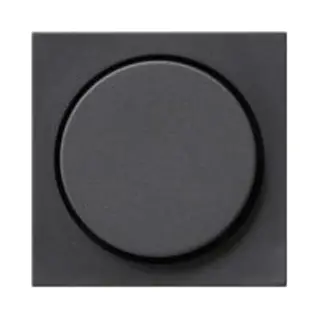 Gira 0650 28 Anthrazit