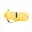 Geel