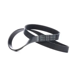 Febi Bilstein 28915 Auxiliary Belt