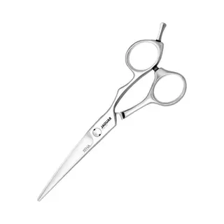 Jaguar - Silver Line - Xena - 6.0""