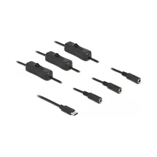 DeLOCK 86801 tussenstuk voor kabels Usb Type-C 3 x Dc 5.5 x 2.1 mm Zwart