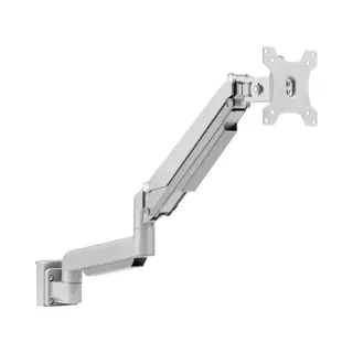 InLine Slatwall Lifter Monitorhalterung, silber