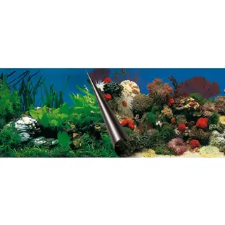 Europet-Bernina Aquarienrückwand Fotorückwand Steine Und Korallen