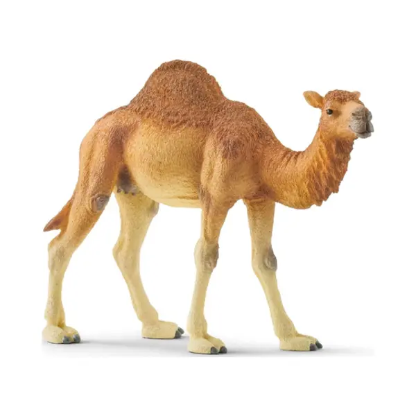 schleich Wild Life Dromedaris thumbnail