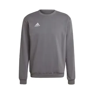 Adidas Herren Entrada 22 Sweatshirt, Team Grey Four, L