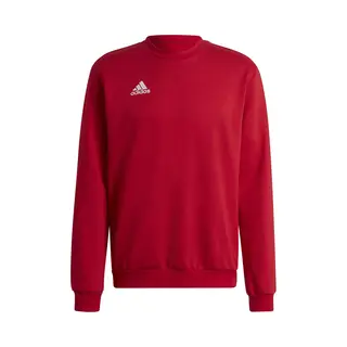 Sweatshirt Adidas Entrada 22