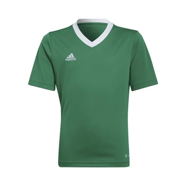 Adidas - Entrada 22 Jersey Youth - Groene Voetbalshirt -152 thumbnail