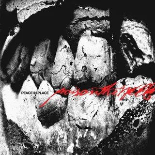 Poison The Well Peace In Place Cd Multicolor