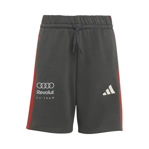 Adidas Audi Revolut F1 Team Dna Shorts thumbnail