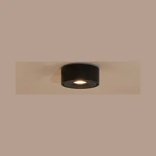 Arcchio Led-Deckenlampe Rotari, Schwarz, Metall, Ø 12cm