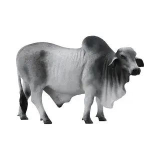 Collecta Byk Brahman