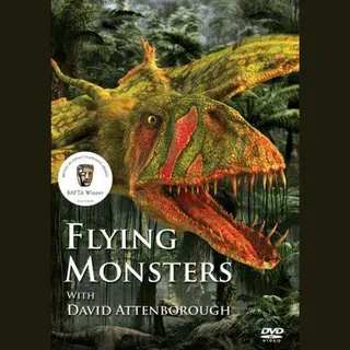 Flying Monsters