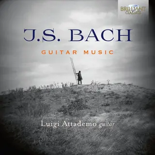 Brilliant Classics J.S. Bach, Guitar Music