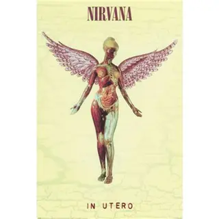 Pyramid Poster Nirvana - In Utero 61x91, 5cm