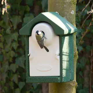 Nestkast Sevilla WoodStone 28 Mm Groen | | Cj Wildlife