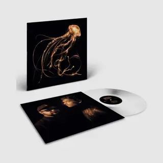 Warner Records Back To The Water Below (Indie Retail Exclusive) [Vinyl]