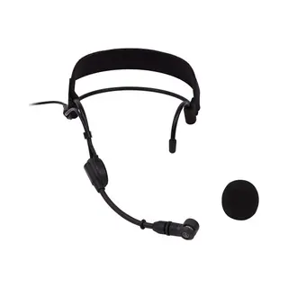 Audio-Technica Pro9cW Black Pc microphone