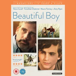 Elevation Sales Beautiful Boy Dvd