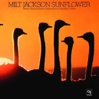 Pure Pleasure Sunflower [Vinyl]