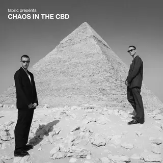 The Orchard Fabric Presents Chaos In The Cbd