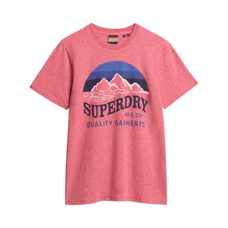 Superdry & Co T-Shirt