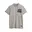 Grey Stripe