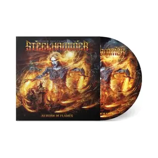 Rock Of Angels Reborn In Flames (Picture Disc) [Vinyl]