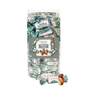 Guylian Temptations Original Chocolade - "Dreamteam" - Melkchocolade Met Praliné - Chocoladecadeau - 750g