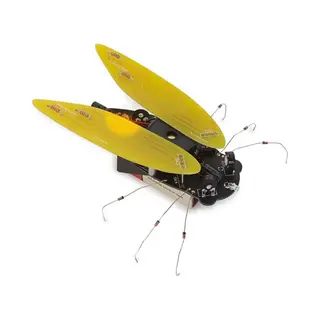 Whadda Electronic Cicada