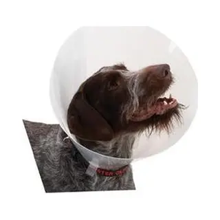 Buster Transparent Classic Collar - Maat 5