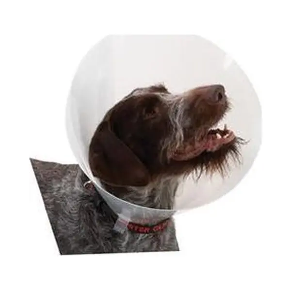 Buster Transparent Classic Collar - Maat 5 thumbnail