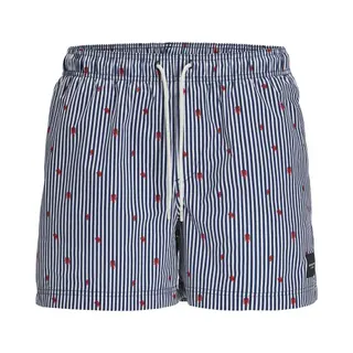 Jack & Jones Jpstmaui Jjswim Mini Stripe Akm Sn