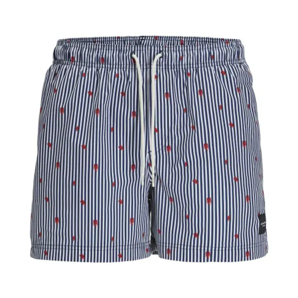 Jack & Jones Jpstmaui Jjswim Mini Stripe Akm Sn thumbnail