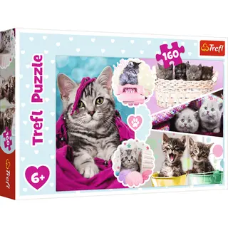 Trefl 160, Lovely kittens