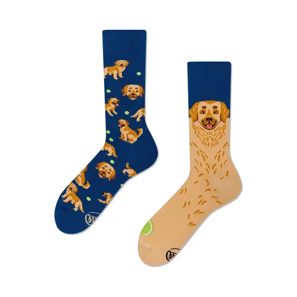 Many Mornings Lustige Bunte Socken Damen Herren 35–38 Golden Boy Hunde Motivsocken Unisex Labrador Design Ungleiche Socken Ausgefallene thumbnail