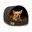 bruin